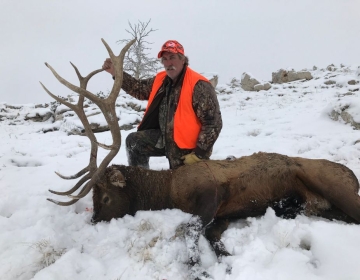 Sns Outfitters Bull Elk Wyoming 2019 4